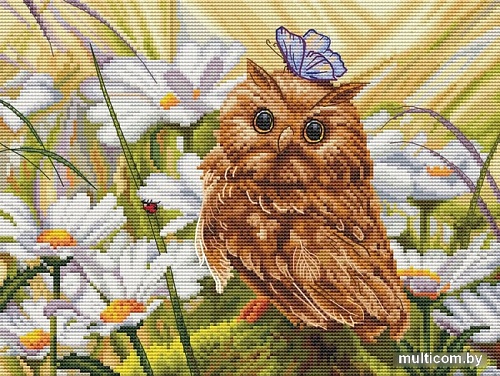 Набор для вышивания Белоснежка Сова Везучка 177-14