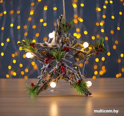 3D-фигура Luazon Звезда из веток 3667616
