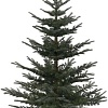 Ель GreenTerra Нобилис 2.4 м