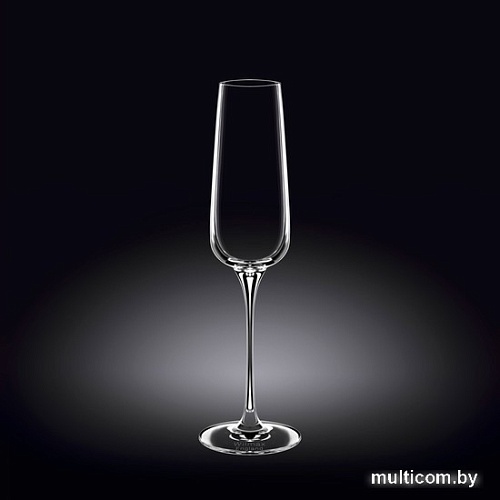 Набор бокалов для шампанского Wilmax WL-888049/2C