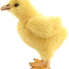 Классическая игрушка Hansa Сreation Цыпленок 5378 (12 см)