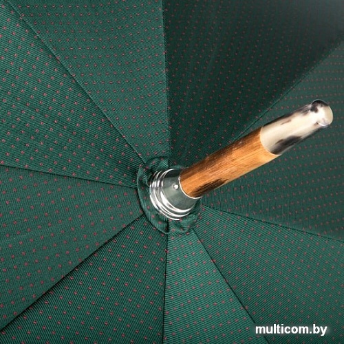 Pasotti Cervo Punto Verde