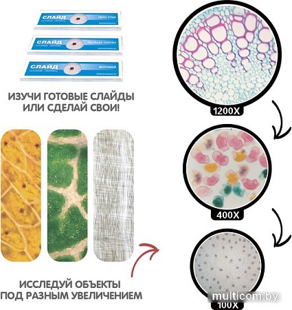Детский микроскоп Bondibon 100-1200X для 2D и 3D объектов с поворотным окуляром ВВ5287