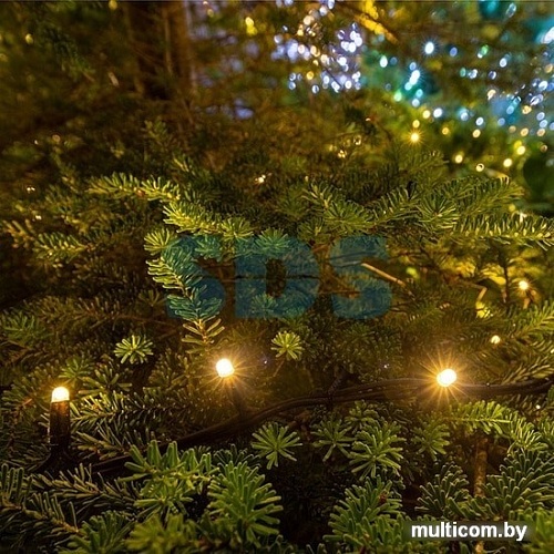 Гирлянда Neon-night «Дюраплей LED» 315-196