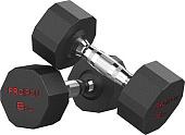 Набор гантелей Proiron Г2080ОБР (2 шт)