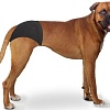 Гигиенические трусы Duvo Plus Dog Pants L