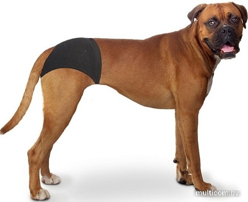 Гигиенические трусы Duvo Plus Dog Pants L