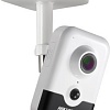 IP-камера Hikvision DS-2CD2423G0-I