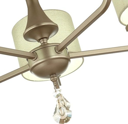 Подвесная люстра Evoluce Elida SLE107703-05