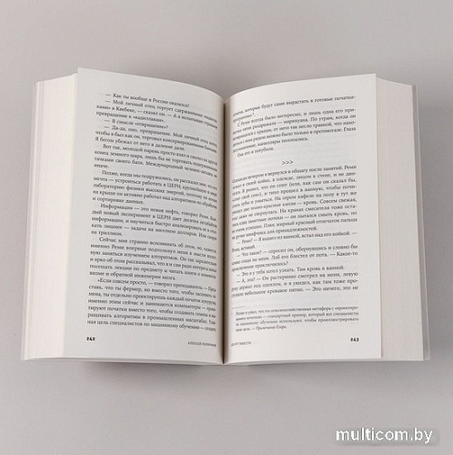 Книга издательства Альпина Паблишер. Центр тяжести (Поляринов А.)