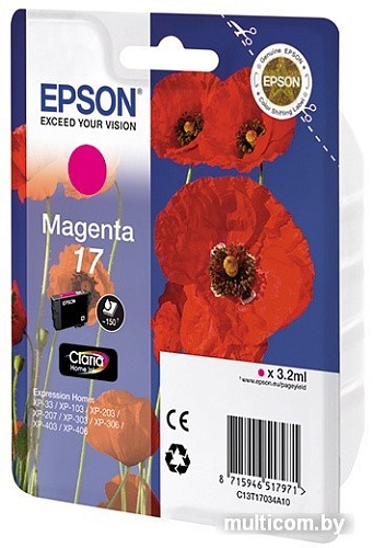 Картридж Epson C13T17034A10
