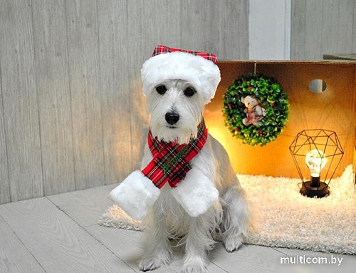 Шарфик Puppia Santa PDDF-SM23-CR-S (красная клетка)
