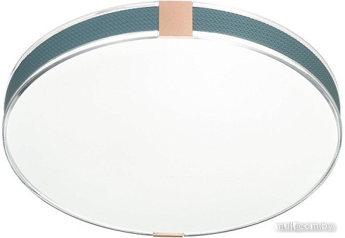 Припотолочная люстра Sonex Color 7677/DL