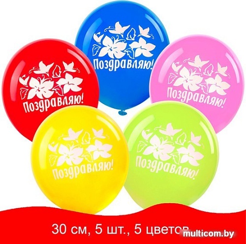 Набор воздушных шаров Золотая сказка Поздравляю 105015 (5 шт, 5 цв)