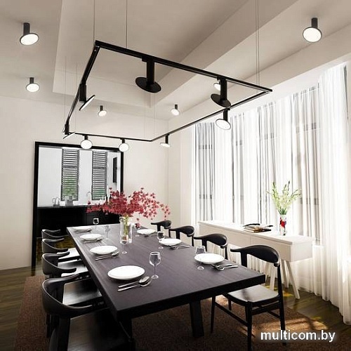 Спот Elektrostandard DLS029 12W 4200K (черный матовый)