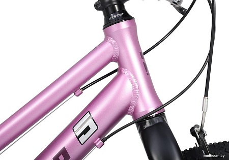 Велосипед Maxiscoo 24 L200 2025 MSC-M5-2413 (розовый сапфир, разобранный)