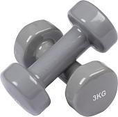 Набор гантелей Indigo 92005 IR 2x3 кг (серый)