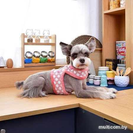 Шлейка-жилетка Pinkaholic Joceline NARD-HJ7363-IP-L (розовый)