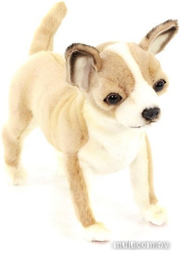 Классическая игрушка Hansa Сreation Чихуахуа 6295 (27 см)