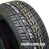 Автомобильные шины Nexen Roadian HP 265/35R22 102V