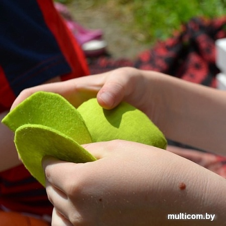 Набор игрушечных продуктов Paremo Овощи с карточками PK320-15 (5 предметов)