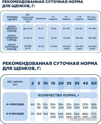 Сухой корм для собак Pet's Brunch Starter для щенков и кормящих с говядиной 4 кг