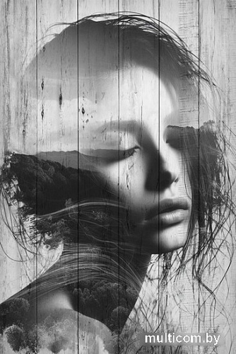 Картина White Wood B112-V-072-115-6.51 115x72 см