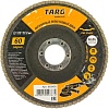 Шлифовальный круг Targ 663405