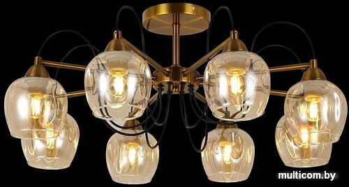 Люстра средней высоты Evoluce Acro SLE110002-08