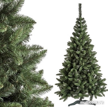 Ель Sonic Горная ель 1.5 м