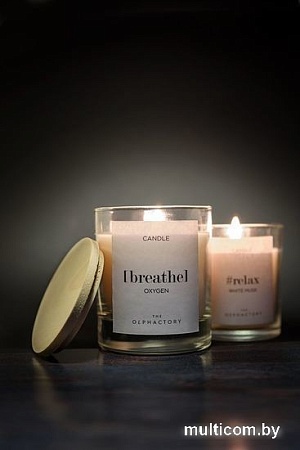 Ароматизированая свеча Ambientair The Olphactory Breathe Кислород VV402OXTO