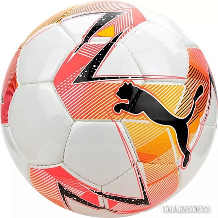 Футзальный мяч Puma Futsal 2 HS 08376401 (4 размер)