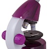 Levenhuk LabZZ M101 (аметист) 69033