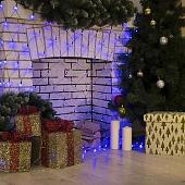 Световая сетка Luazon Сеть 224 LED 2х2 м (синий) 1585754