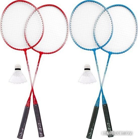 Теннис/бадминтон Darvish SR-S-26 (в ассортименте)