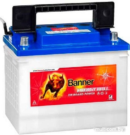 Автомобильный аккумулятор Banner Energy Bull 957 51 (100 А/ч)