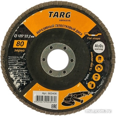 Шлифовальный круг Targ 663406