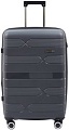 Чемодан-спиннер Pride РР-204 (M, серый)