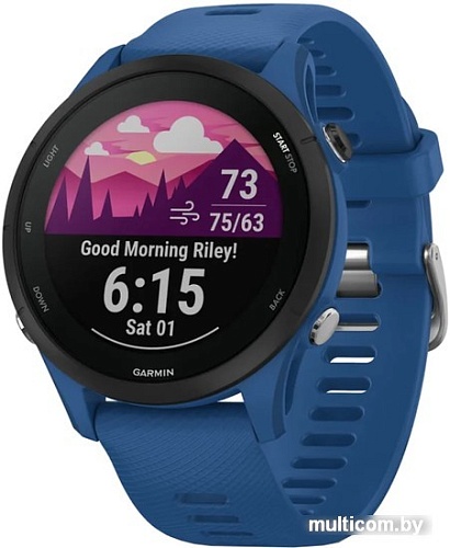 Умные часы Garmin Forerunner 255 46 мм (темно-синий/черный)