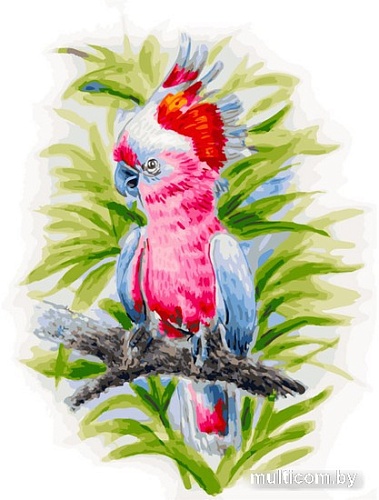 Картина по номерам Белоснежка Розовый попугай 361-AS