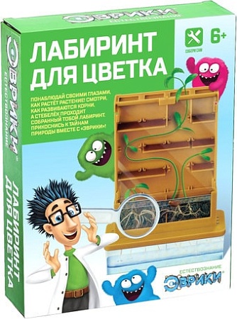 Эврики Лабиринт для цветка 3818464