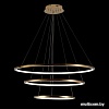 Подвесная люстра LOFT IT Ring 10015/3