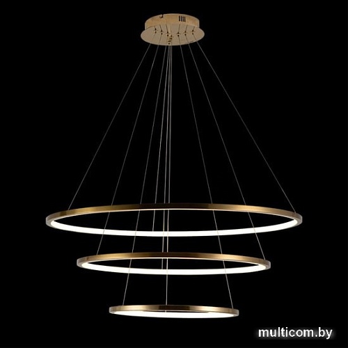 Подвесная люстра LOFT IT Ring 10015/3