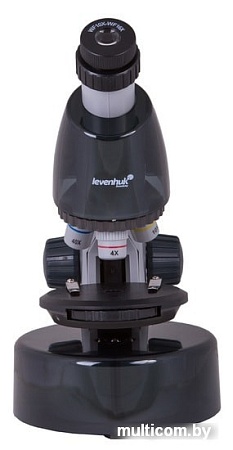 Levenhuk LabZZ M101 (лунный камень) 69032