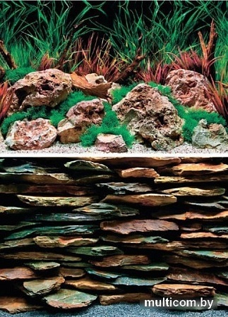 Фон Barbus двухсторонний каменная стена/дикая вода 60 см х 124 см