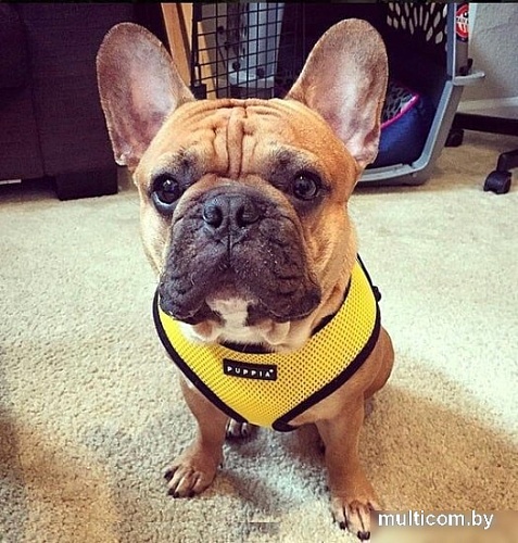 Шлейка-жилетка Puppia Soft Vest PAHA-AH305-YE-XL (желтый)