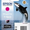 Картридж Epson C13T76034010