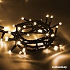 Гирлянда Vegas Нить 55062 100 LED (белый теплый)