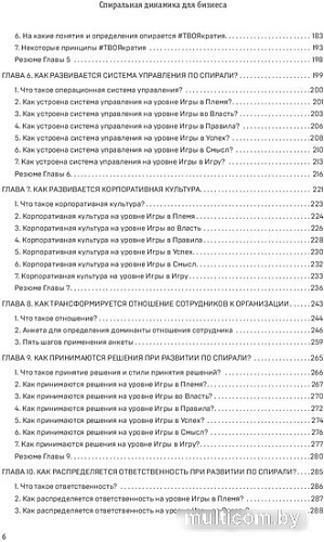 Книга издательства Бомбора. Спиральная динамика для бизнеса (Бехтерев С.В.)