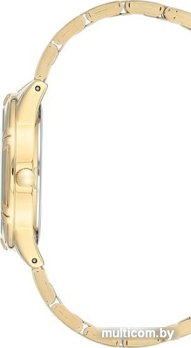 Наручные часы Anne Klein 3768BMGB